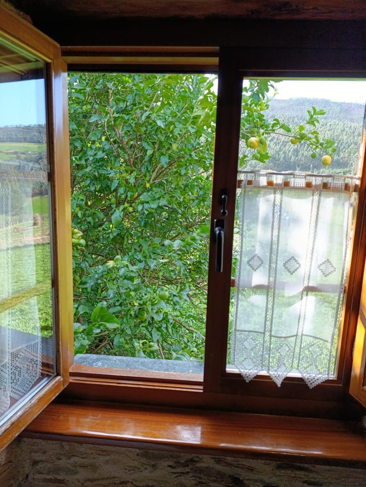 Apartamentos Rio Eo San Tirso de Abres Eksteriør billede
